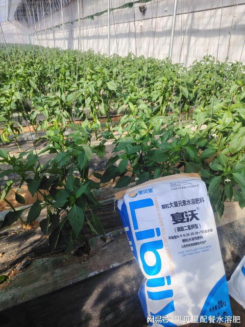 水溶肥廠家,經(jīng)銷商這樣選擇